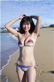 海豚湾 电影